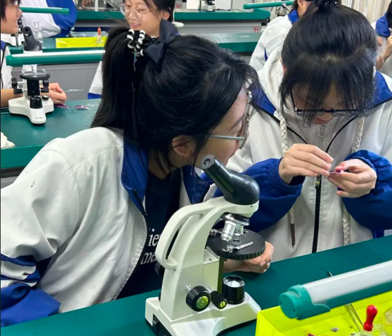 构建起网络讲堂区域教研的数字教育新生态中心节点全覆盖
